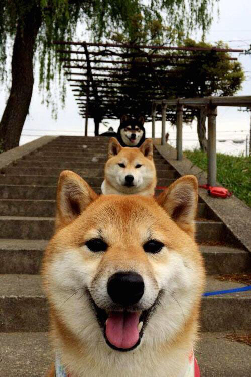 _青少年电竞与体育融合大赛:未来运动新趋势_,青少年科技体育电子竞技大赛