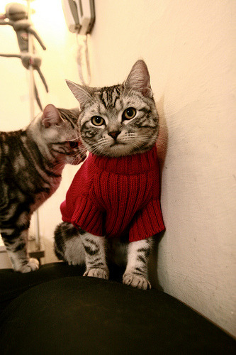 《CS_GO年度盛典,天王对决战火连天》,will,怎么念