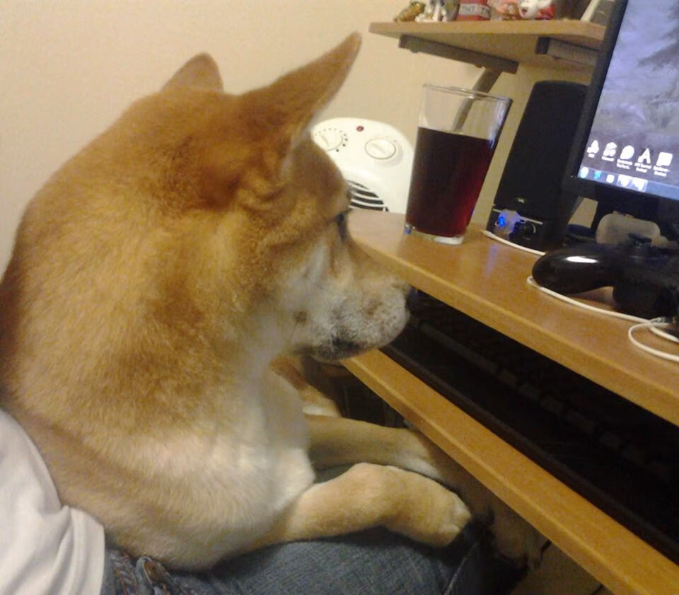 中国足球行业品牌建设再升级，提升行业整体影响力，中国足球产业发展现状