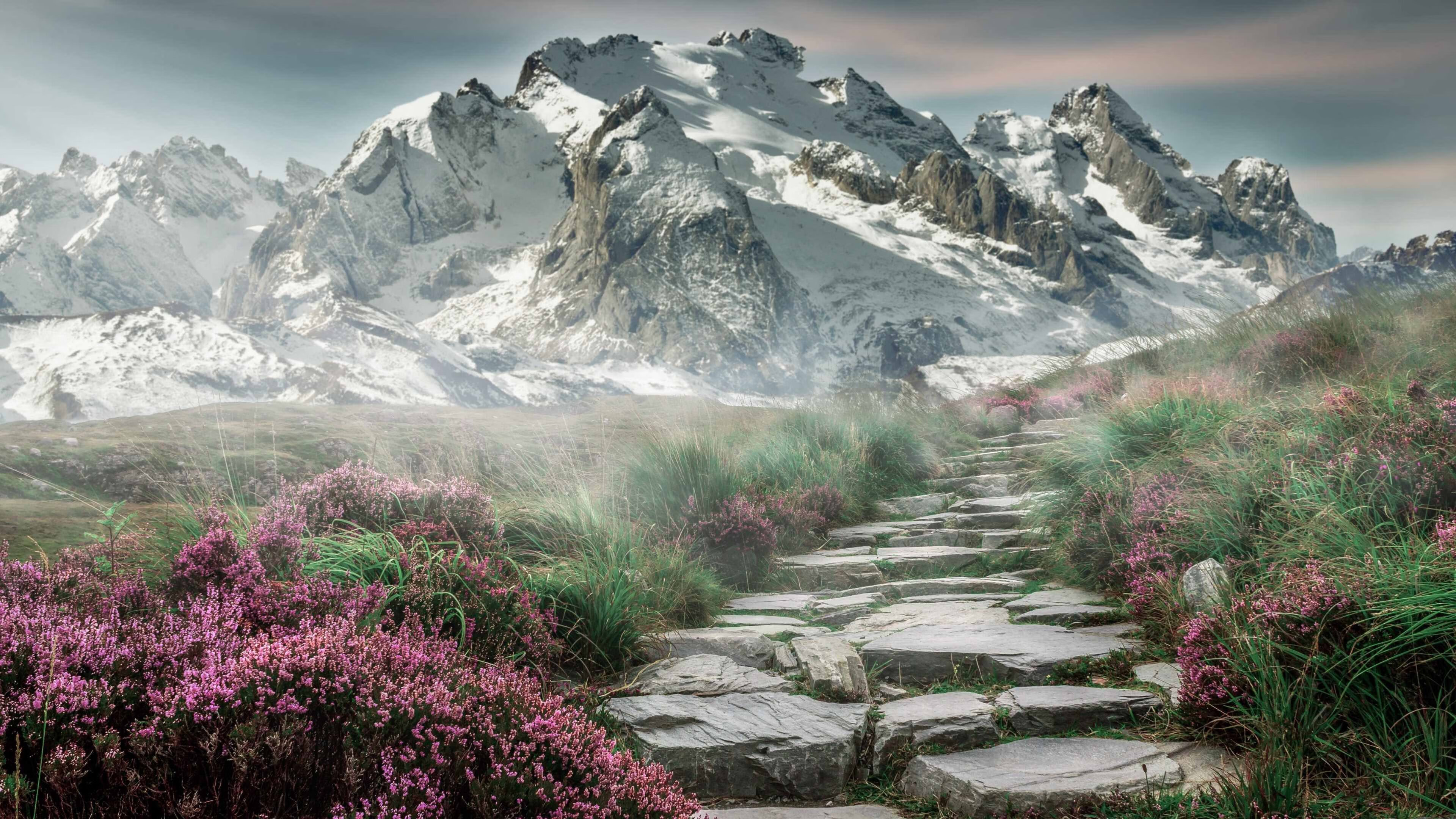 中国足球行业标准体系建设取得阶段性成果，行业迎来新规范，中国足球制度