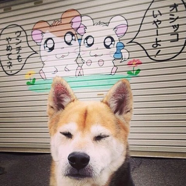 夜光漂流激流探险，黑暗中寻求速度快感，夜光漂怎么制作方法