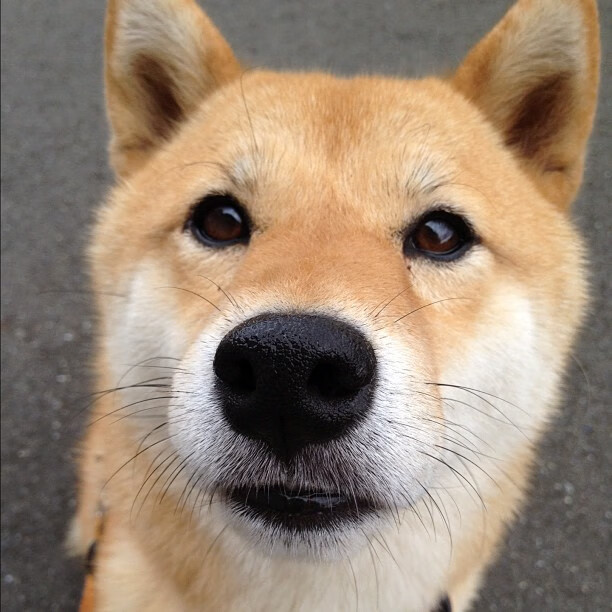 电竞职业联赛调整比赛规则，赛事更公平公正，电竞职业竞赛