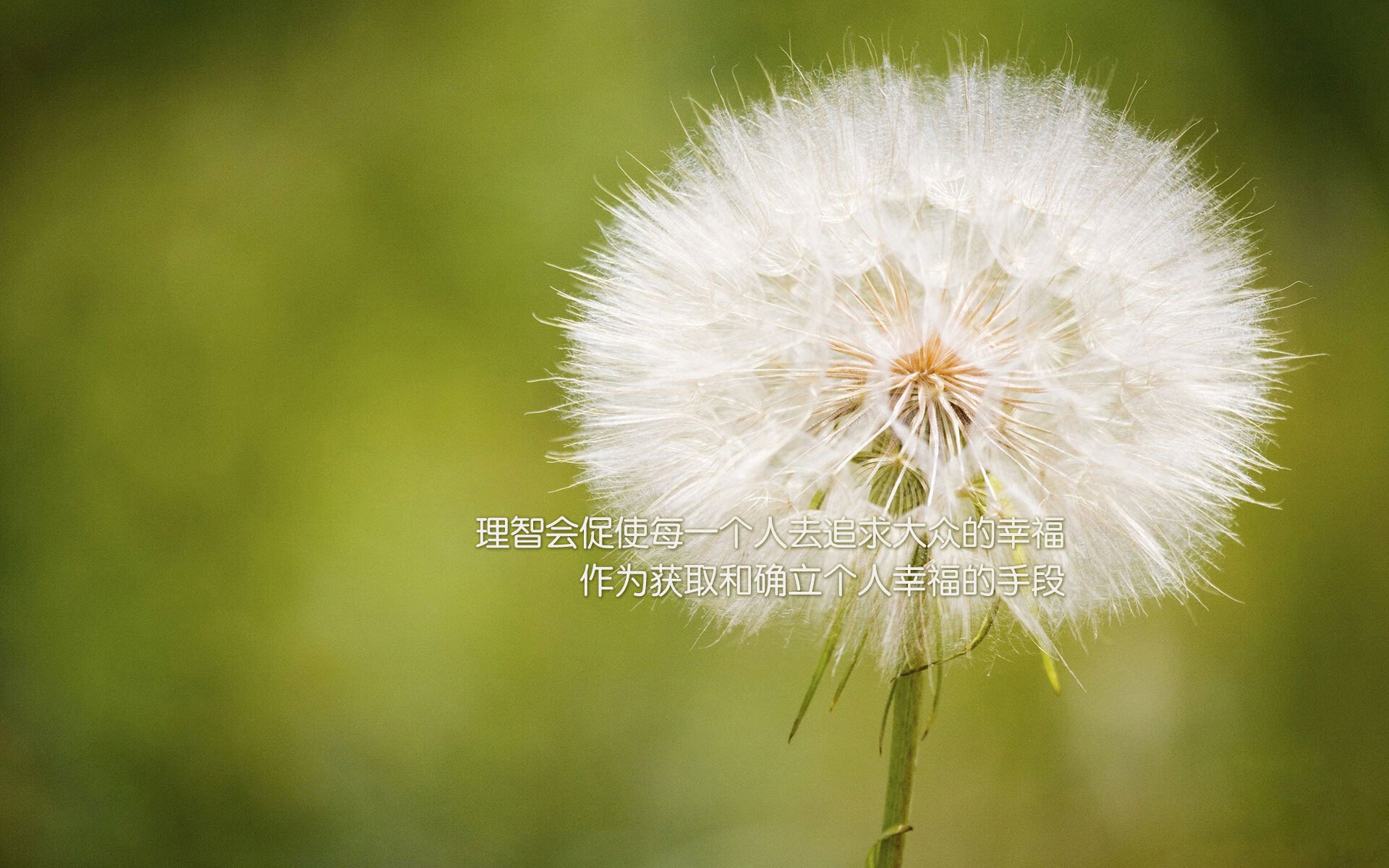 电竞联赛“复古风”大赛上线,吸引老玩家回归,电竞赛事活动官网