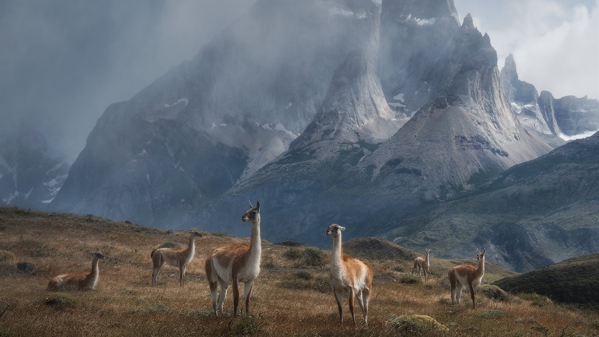 足球医疗急救服务体系在赛场全面部署，足球医疗团队