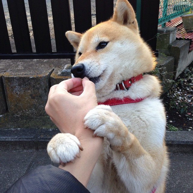 野外森林越野跑挑战赛，探索未知的自然秘境，户外越野挑战赛