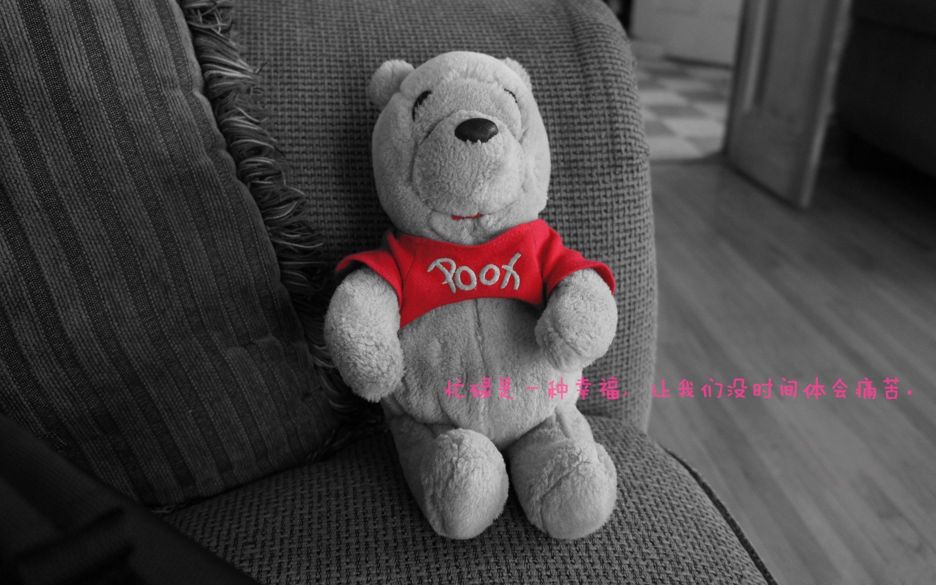 乌拉圭队主帅:球队需调整状态,备战下一场比赛,乌拉圭队球员名单