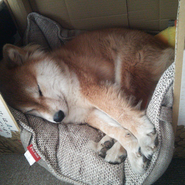 日本NHK：瑞士队的冷静与技术令人敬佩，足球瑞士队