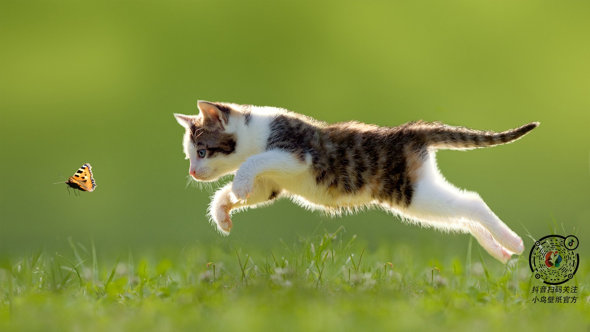 火箭主场沸腾战胜西部劲旅，火箭队比赛回顾