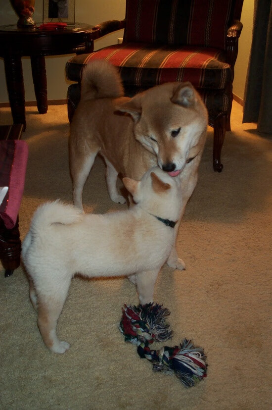 萨拉戈萨客场不败，提升保级希望，萨拉戈萨地理位置