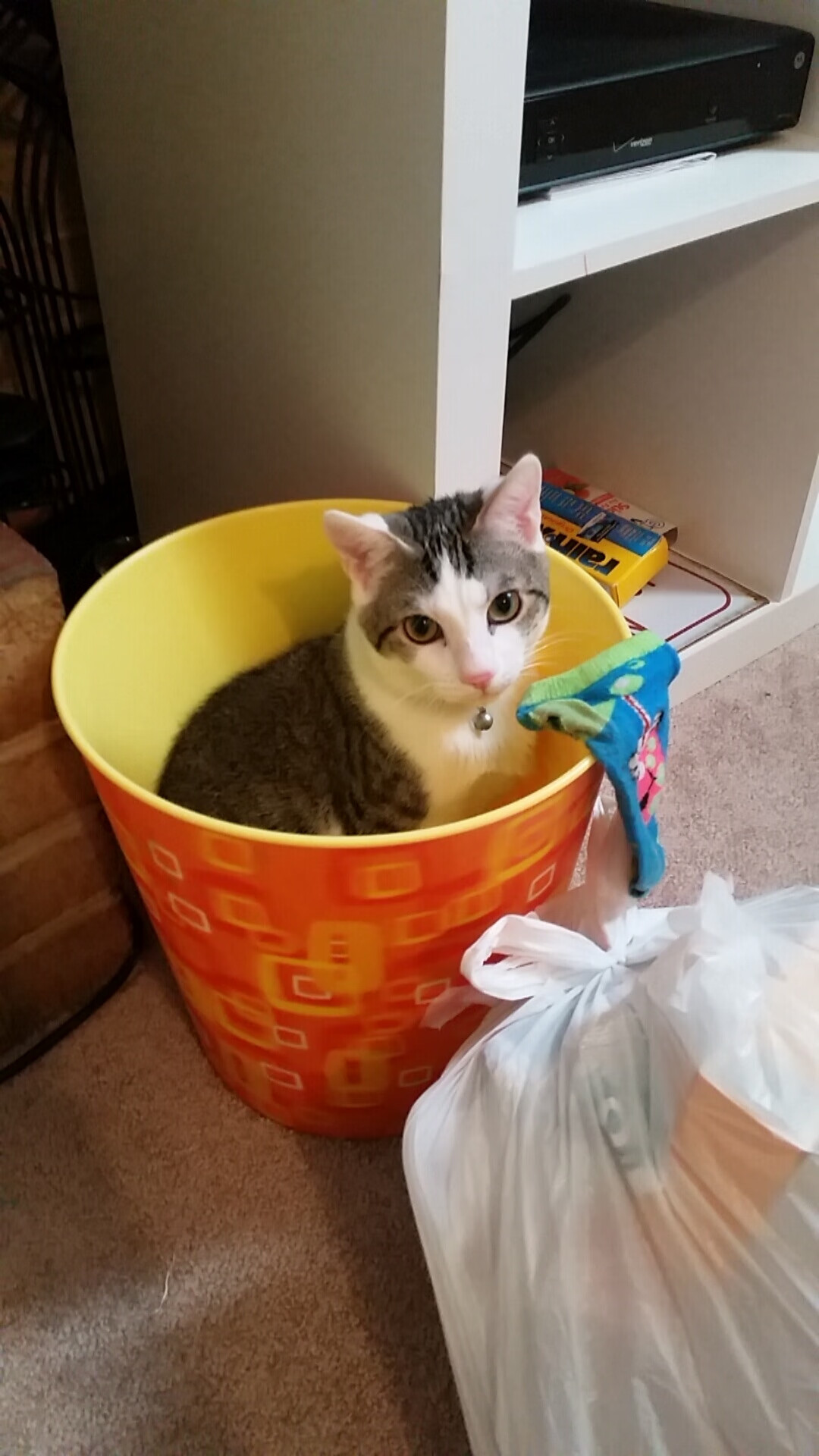 雷恩客场取胜第戈德，排名升至积分榜第三，雷恩足球