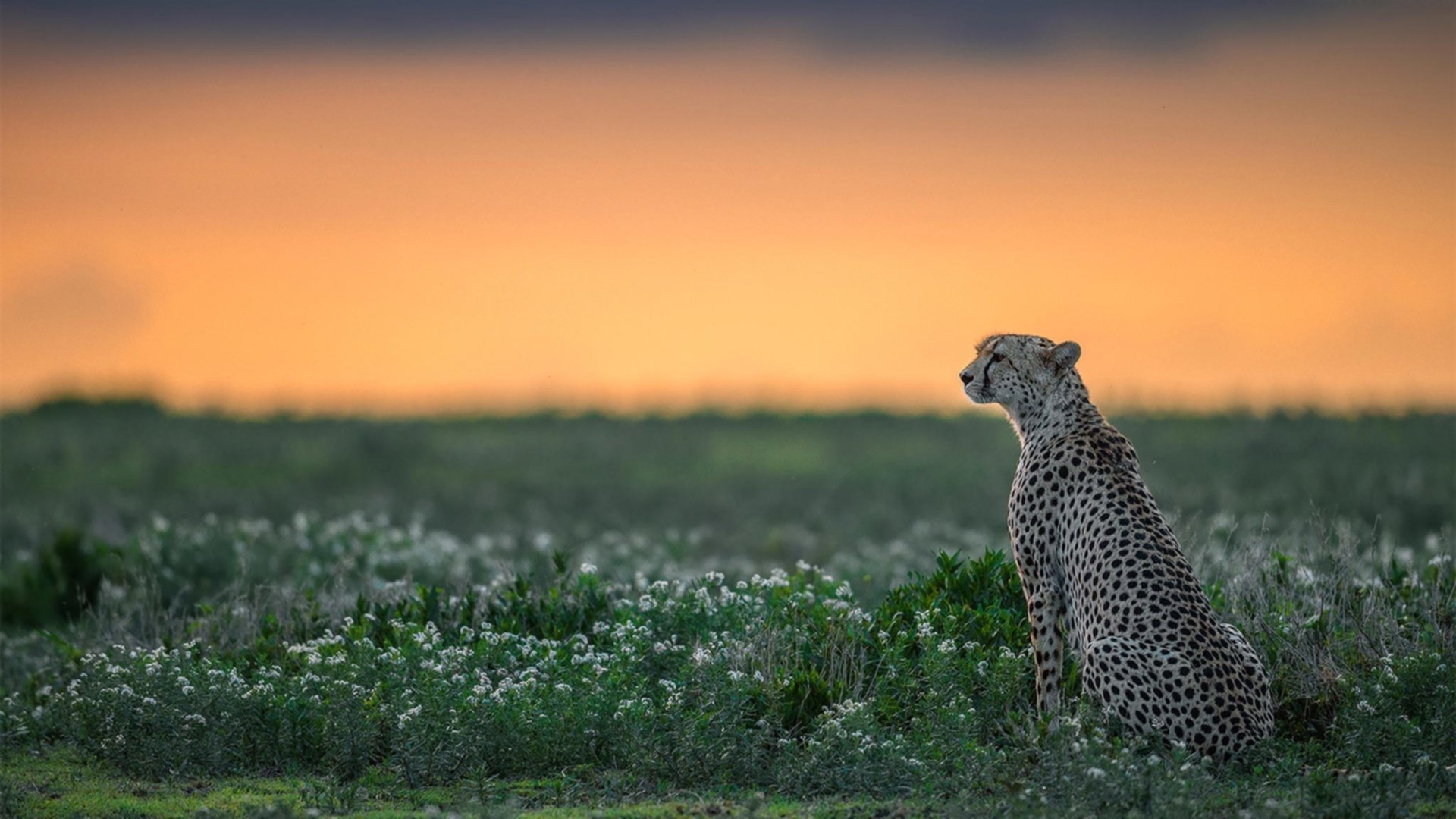 国足失误频发球员数据追踪模型,国足总结失败 低估对手