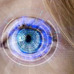 训练负荷科学监测，训练负荷诊断