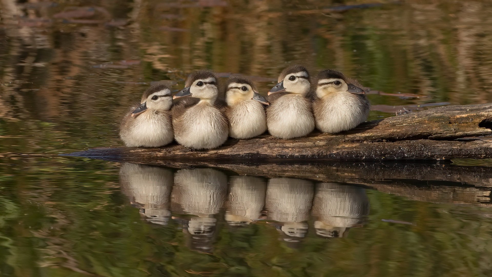 CBA休赛期球员状态管理成为重点，cba休息