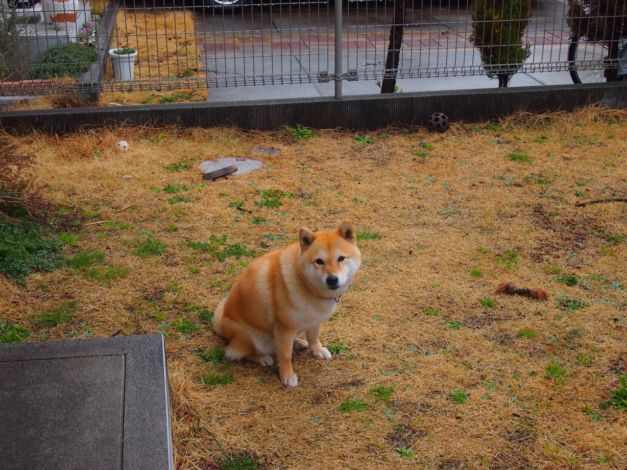 CBA联赛积极推广篮球青训计划，青年篮球培训