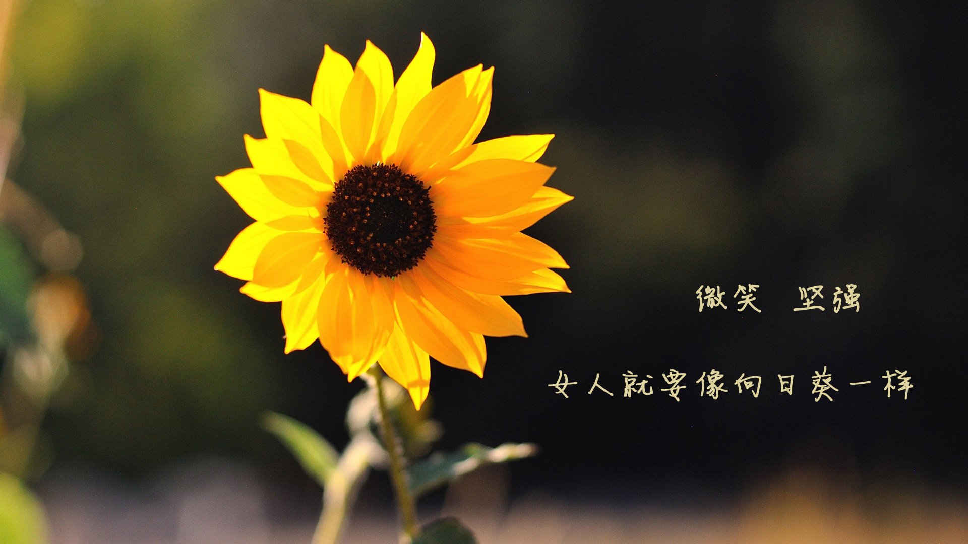 中国男篮锋线组合崭露头角 攻防兼备引关注，中国男篮中峰