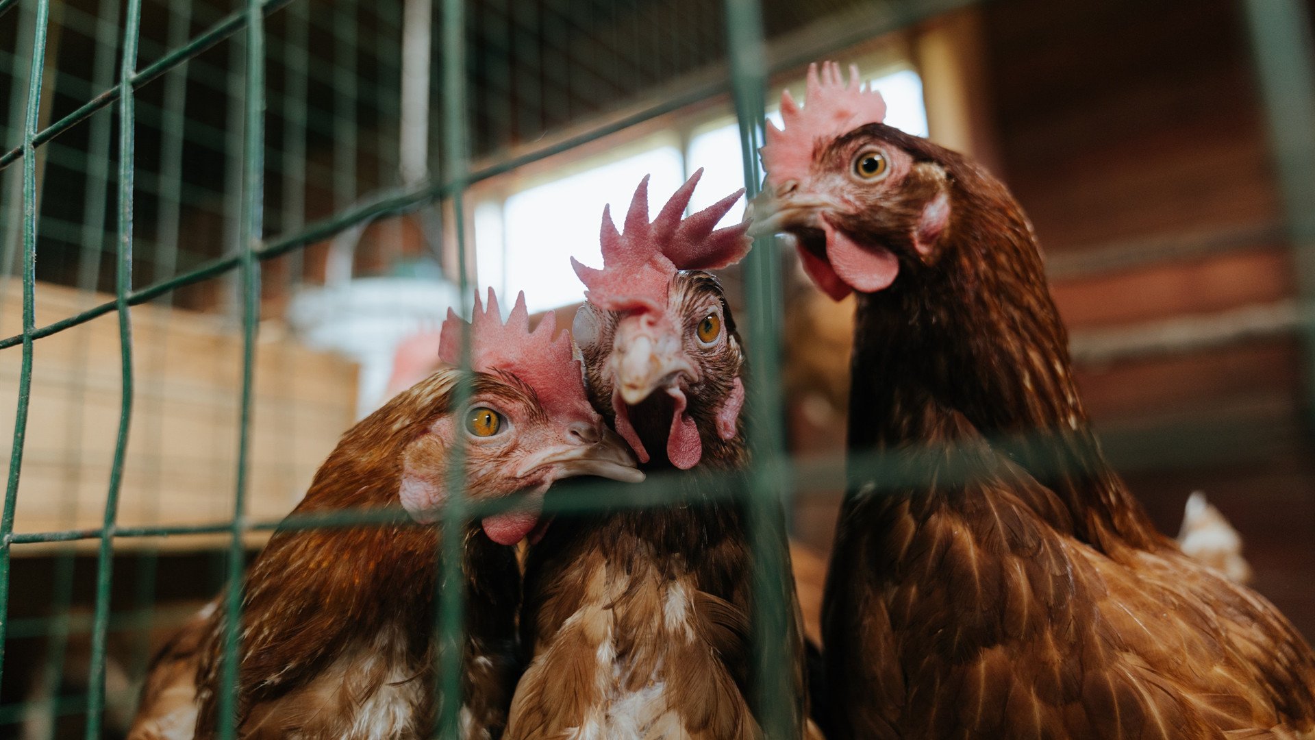 体育新闻中心推动本地赛事国际传播能力建设,大型体育赛事新闻运行的五大核心板块