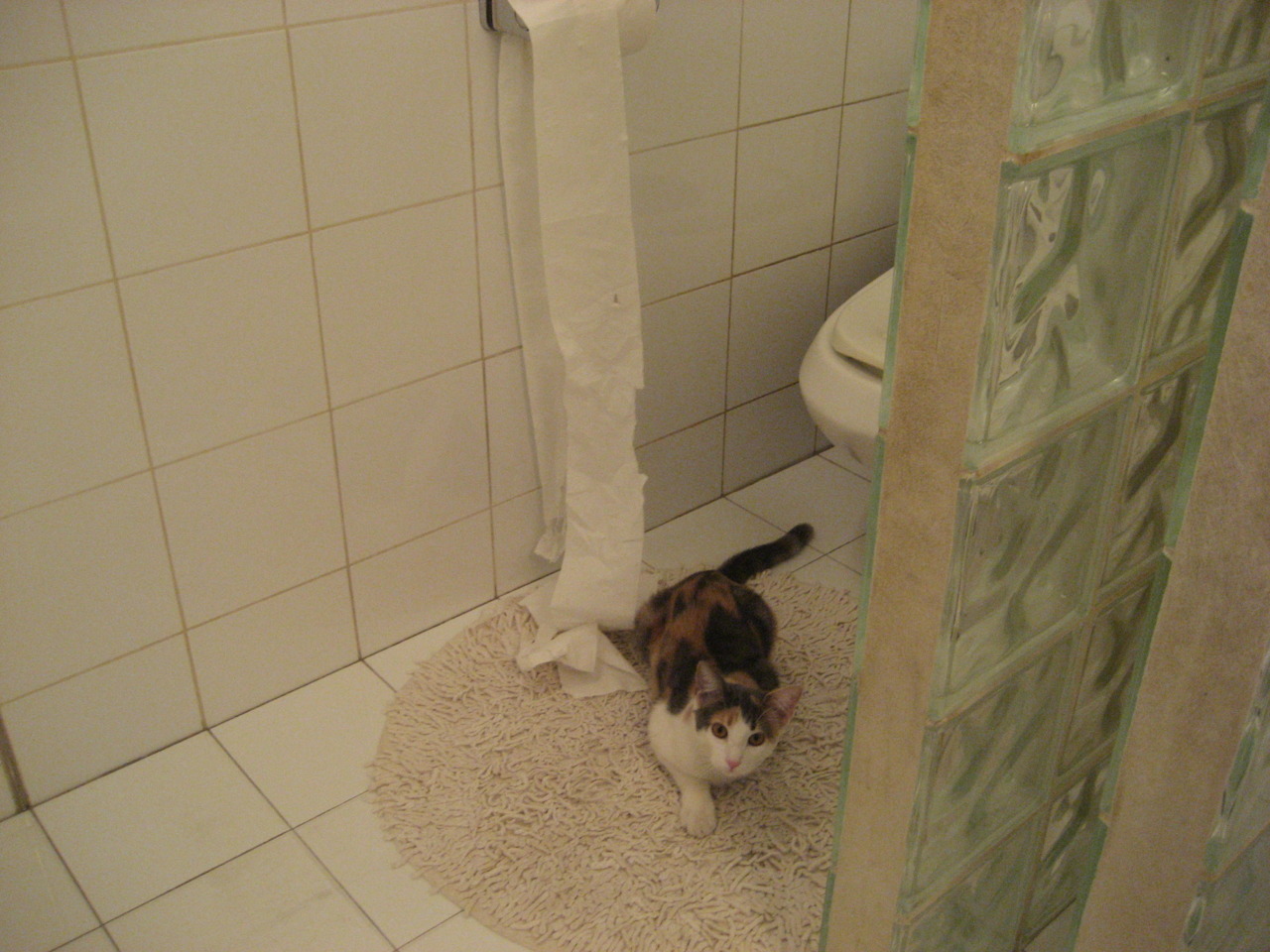 大牌球星表现起伏成争议焦点，大牌球队