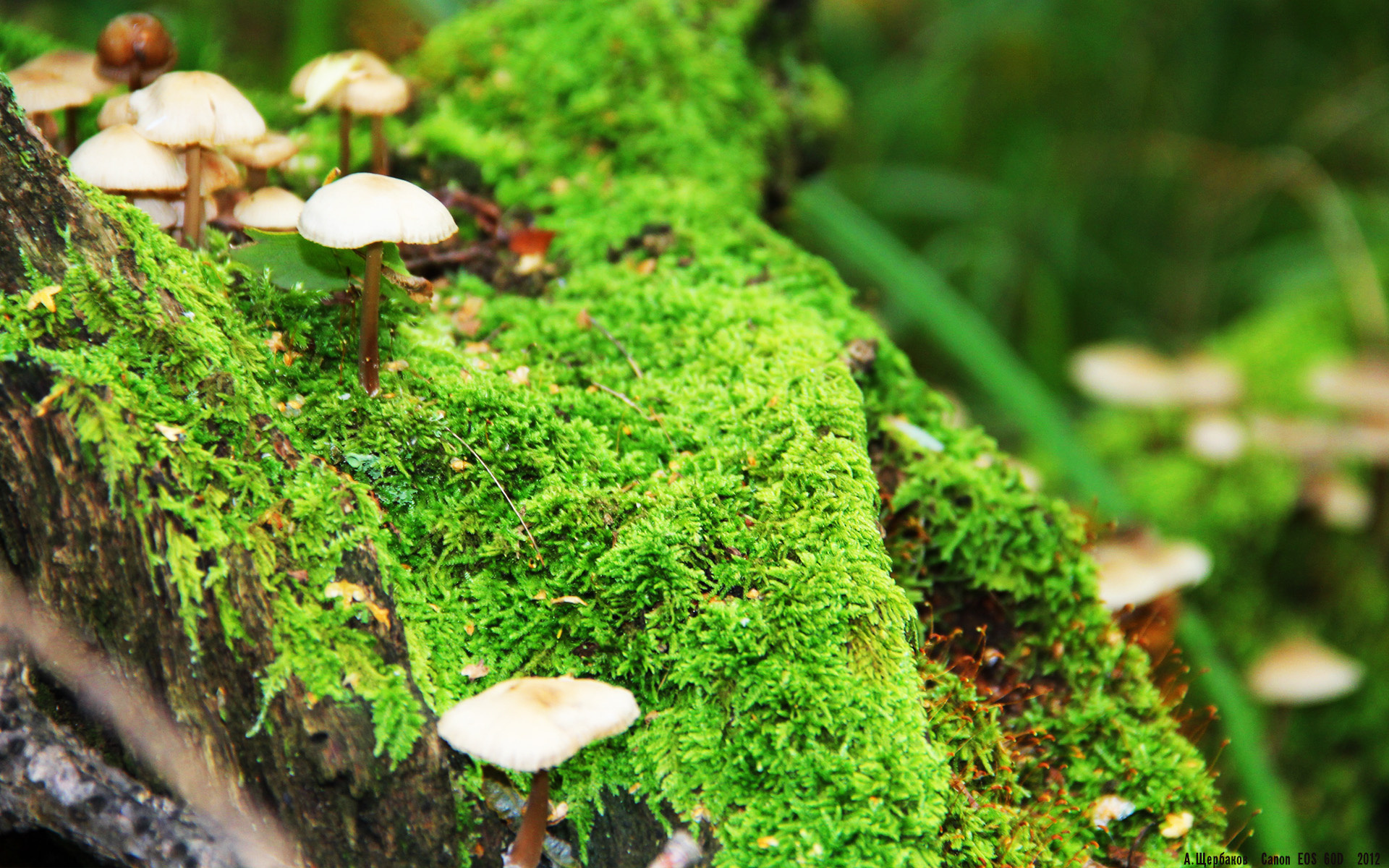 奥预赛中国青年队战败 球迷反思青训体系，青奥会足球比赛