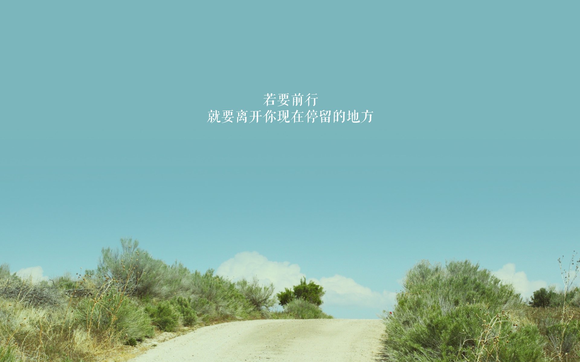 替补球员发挥出色，展现深厚实力，替补球员从哪上场