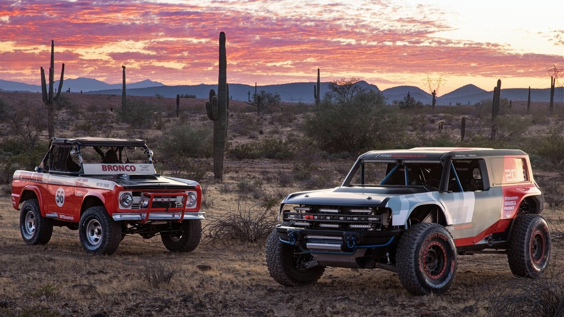 青训课程忽略战术思维训练