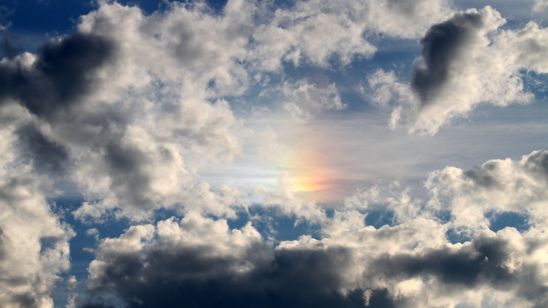 卡特的进攻组织能力，是全黑队制胜的关键之一，卡特进攻集锦