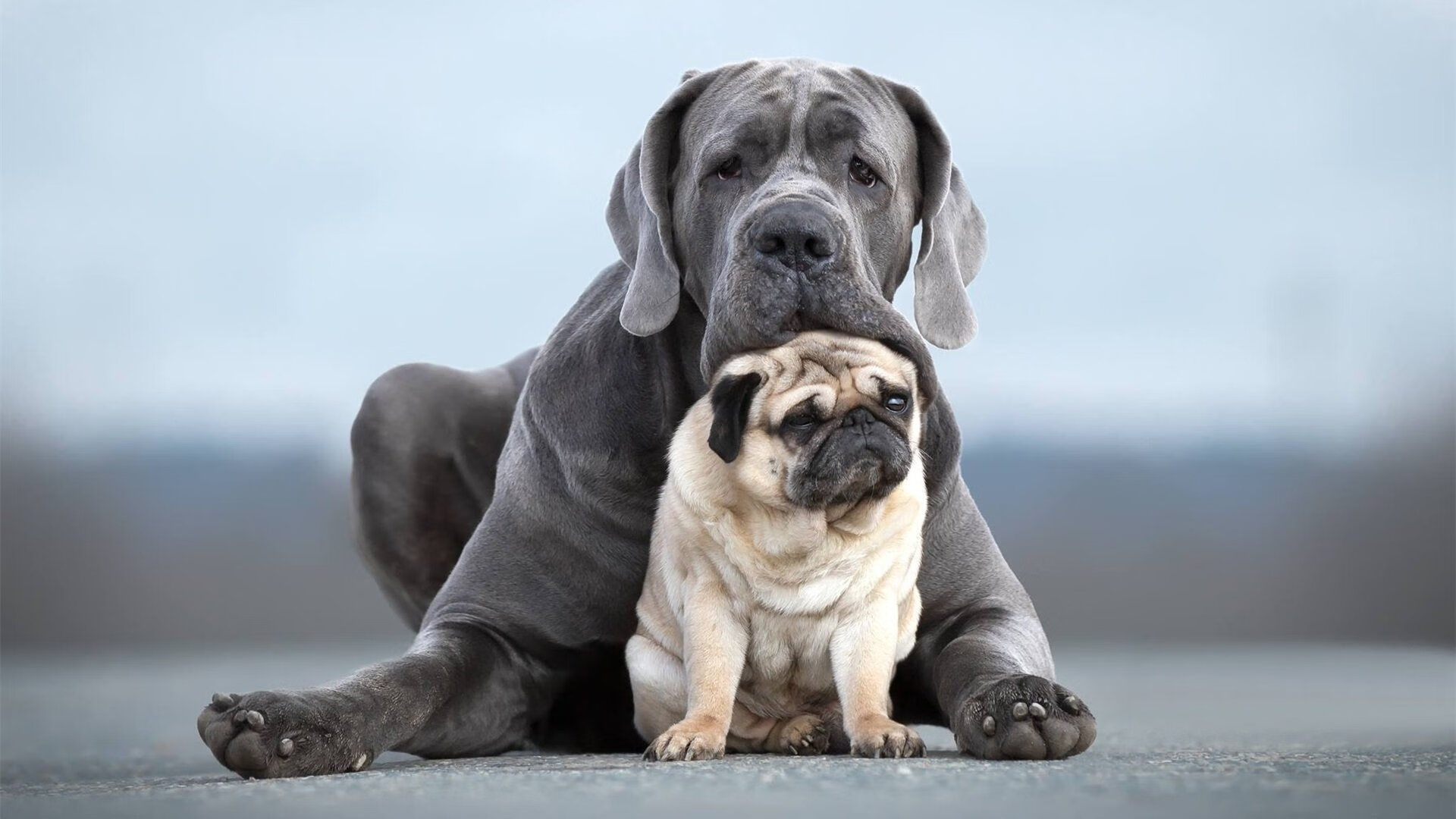 国家体育总局通报国家级赛事环保方案执行情况,环保类竞赛