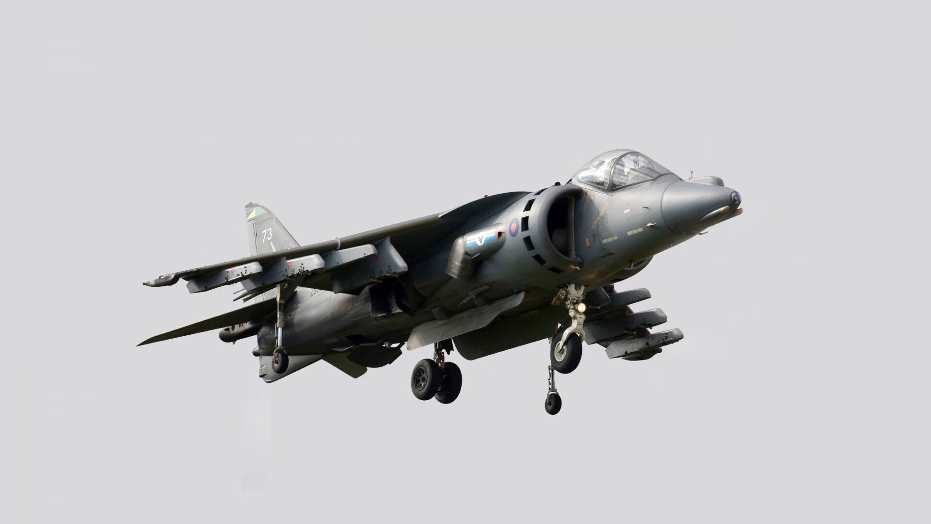 图穆亚突破力十足，袋鼠队战术核心逐渐显现