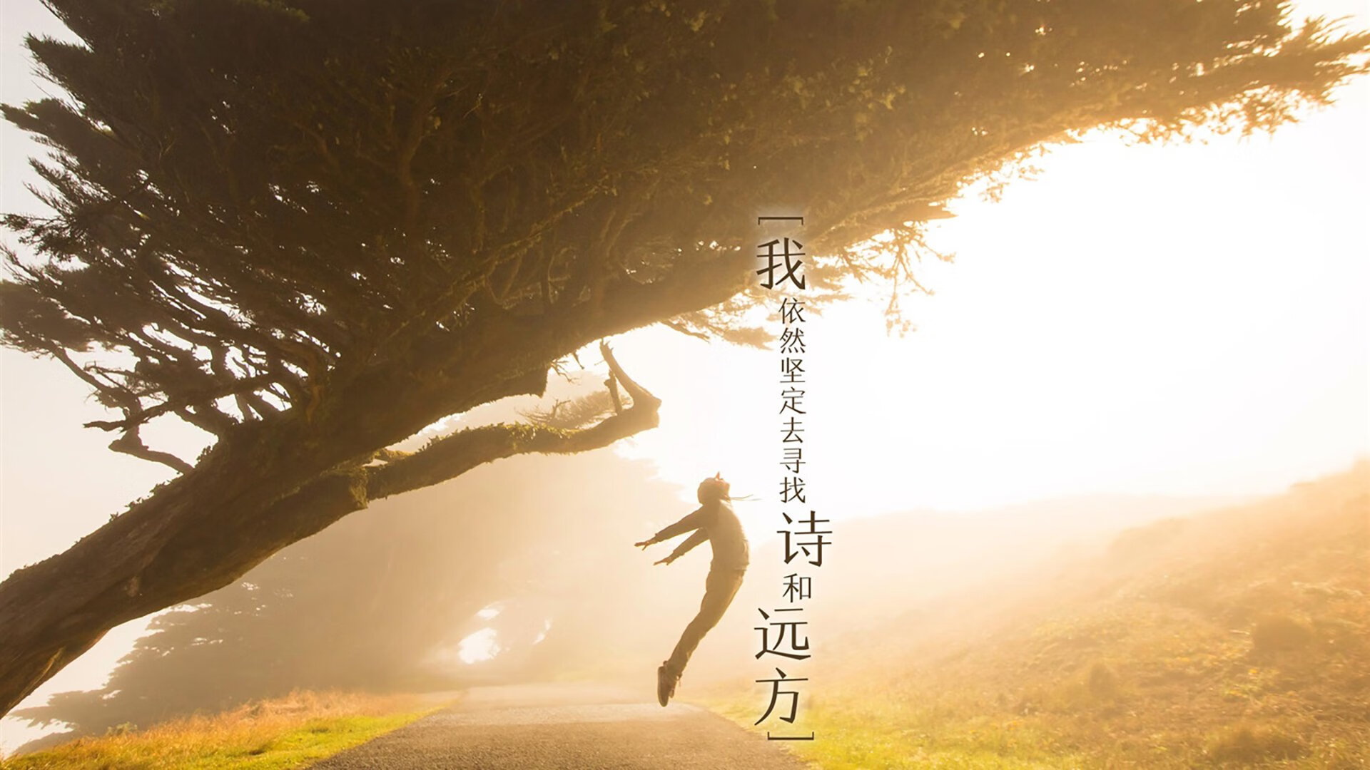 跳水环节吉尔吉斯斯坦表现持续进步,吉尔吉斯斯坦摔跤冠军